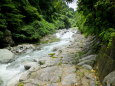 渓流の遊歩道