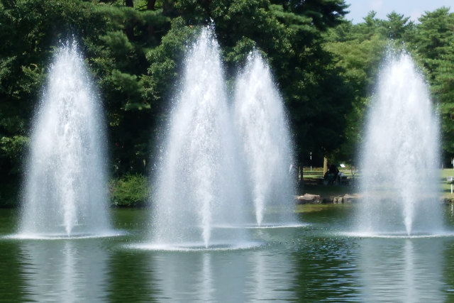 アルウィン公園内の噴水