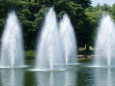 アルウィン公園内の噴水