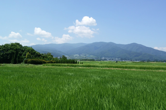 夏のチュンギ原