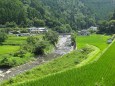 まだまだ暑い8月中旬に