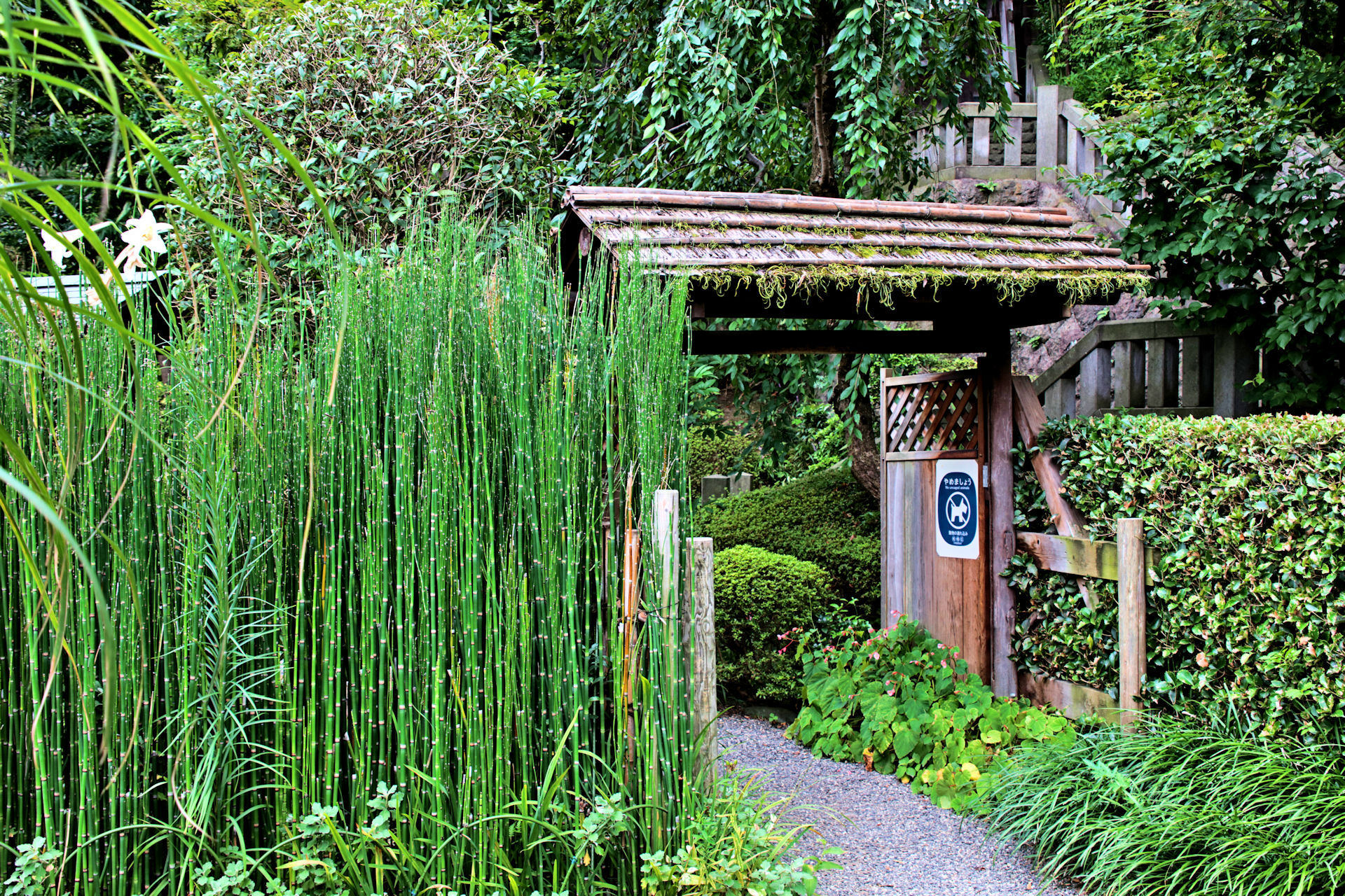 日本の風景 トクサのある庭園 壁紙19x1280 壁紙館