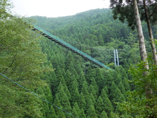 見上げるつり橋