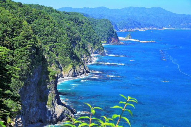 三陸の海 鵜の巣断崖