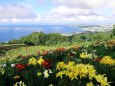 春香山ゆり園から望む石狩湾