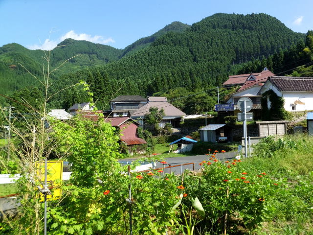 奥日田山間集落の夏