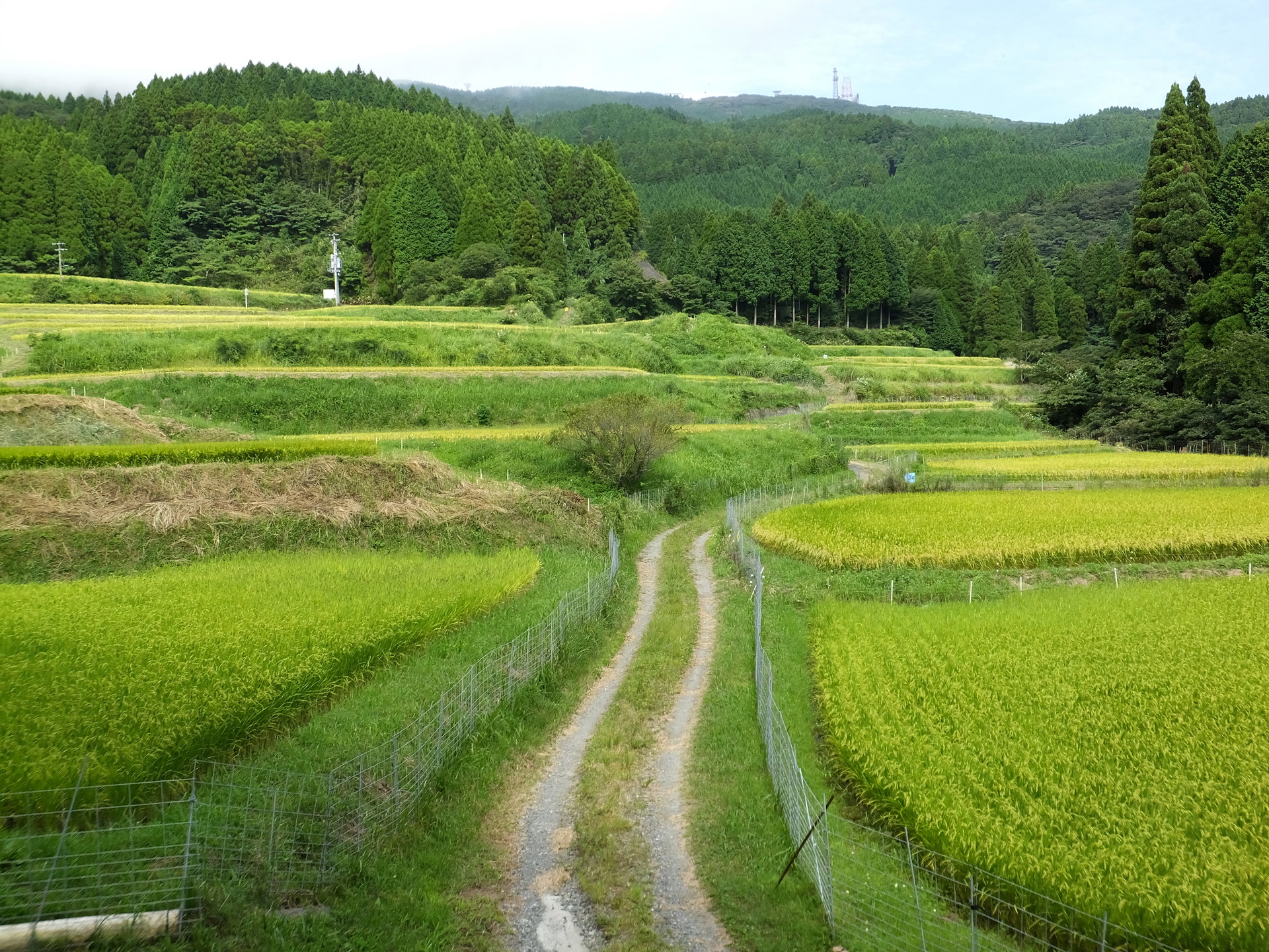 日本の風景 働く道 収穫の道 壁紙1920x1440 壁紙館