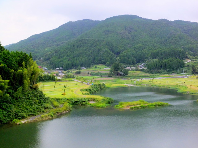 山里の水景色