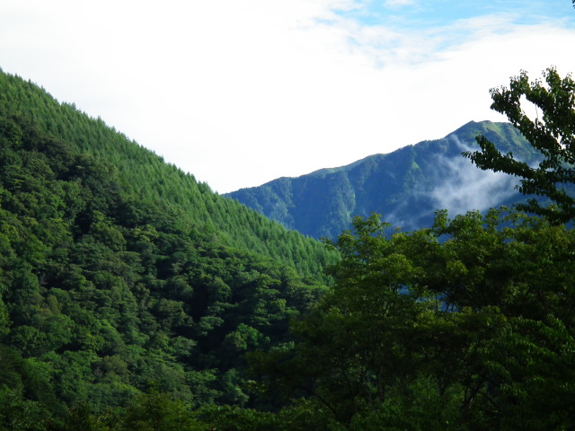 「泡の湯」の朝