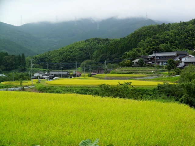 静かな秋のはじまり