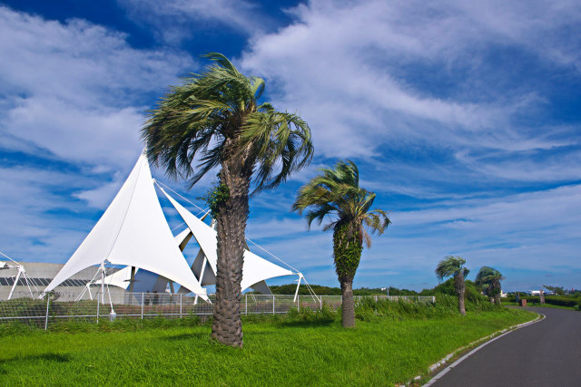 葛西臨海公園・海沿いの遊歩道