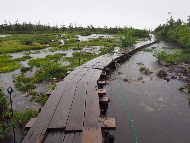 雨の天狗原