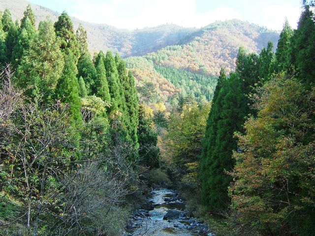 秋の丹波高地