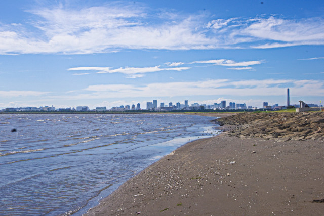 葛西臨海公園・午後の渚