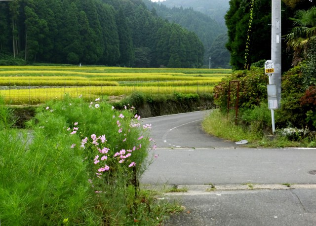 田舎のバス停