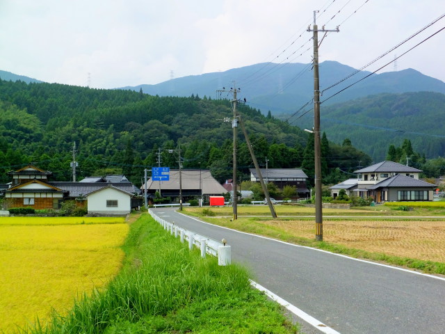 国道263号線へ