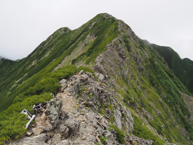 大仙丈ヶ岳