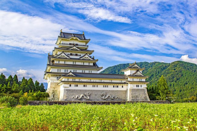 蕎麦畑と勝山城