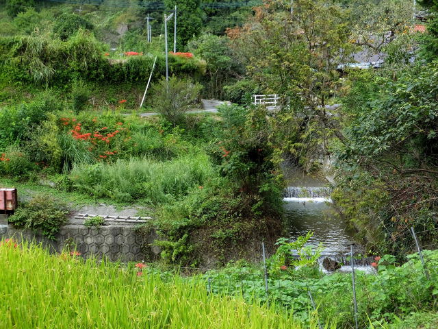 庭園のような風景