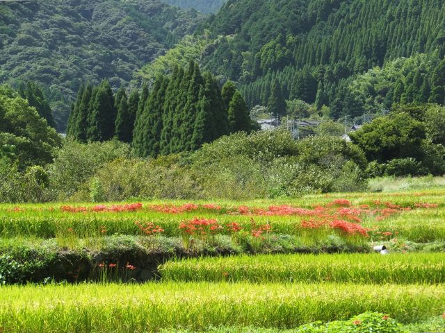 秋の晴れた日に