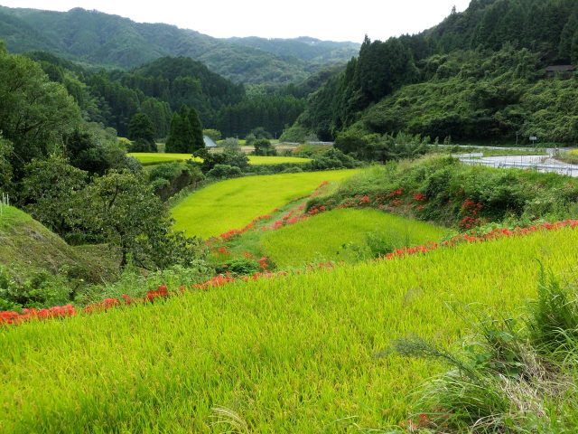 山間部で