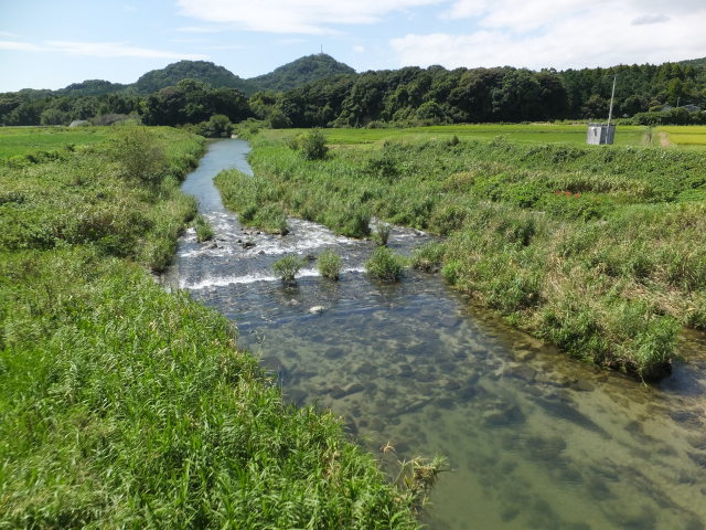 澄みゆく川