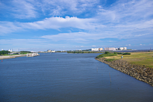 葛西海浜公園 からTDR遠望