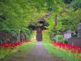 秋の西方寺