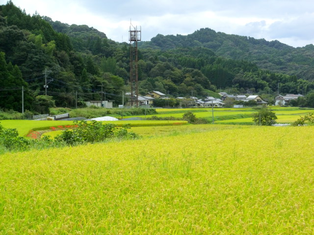 山村の秋