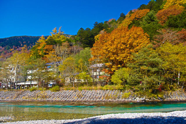 錦秋の上高地 梓川と黄葉 