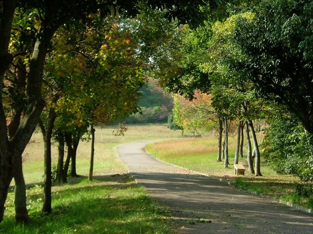 秋の緑道公園