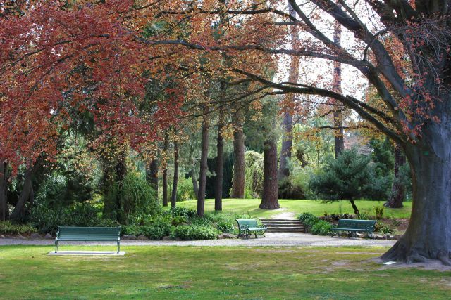 公園の風景