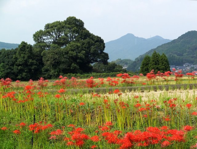 旅の途中で