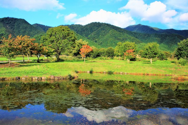 色付く高原