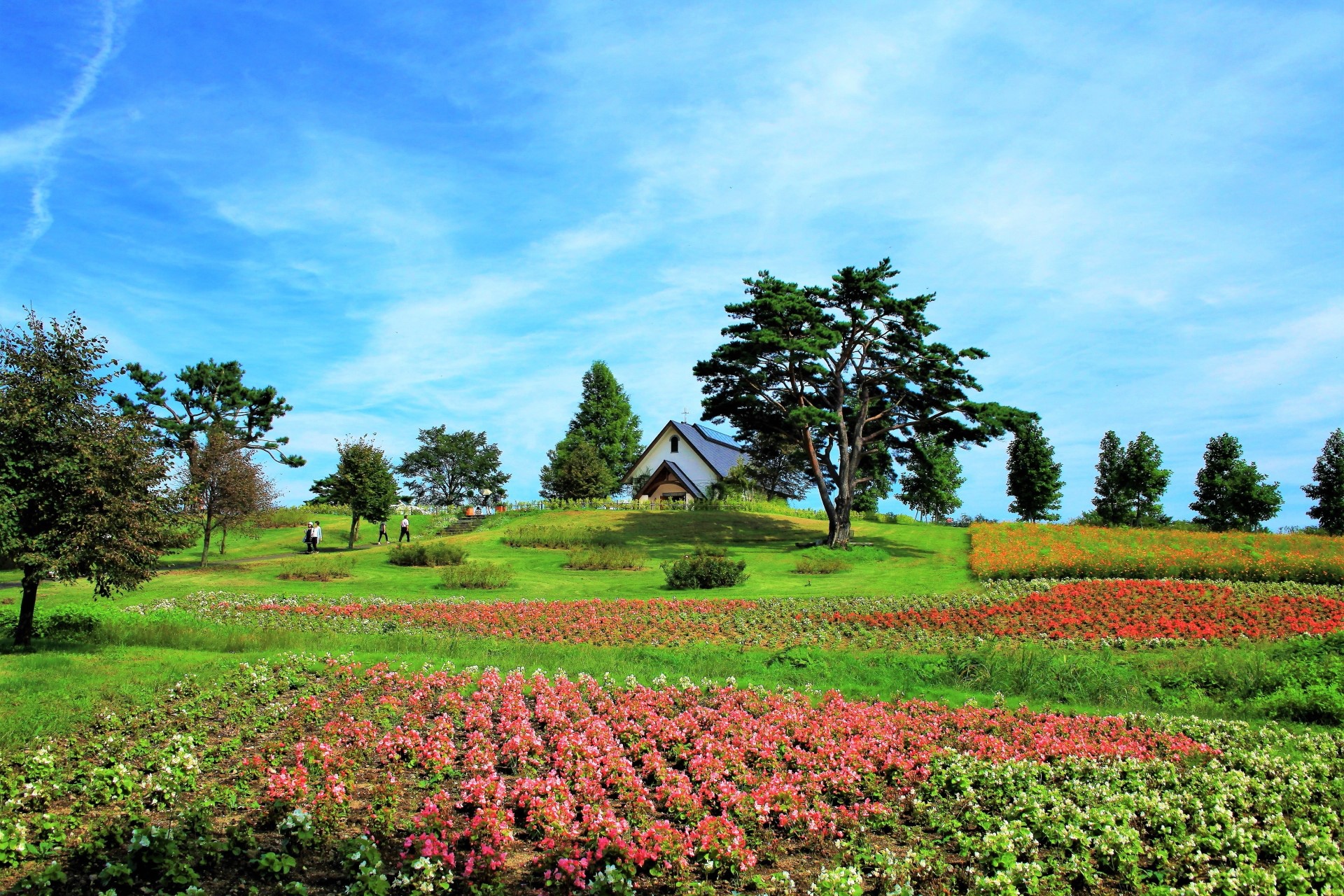 日本の風景 メルヘンの丘 壁紙19x1280 壁紙館