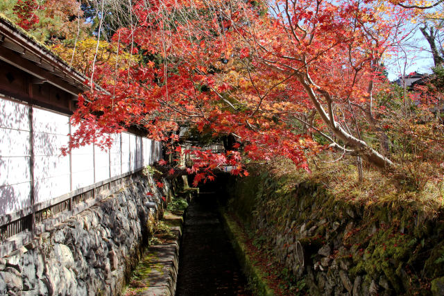 待ち遠しい紅葉＠高野山・#7