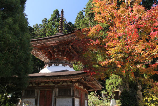 待ち遠しい紅葉＠高野山・#11