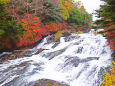 竜頭の滝 上流の紅葉