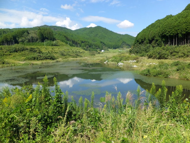 秋の山間部湿原