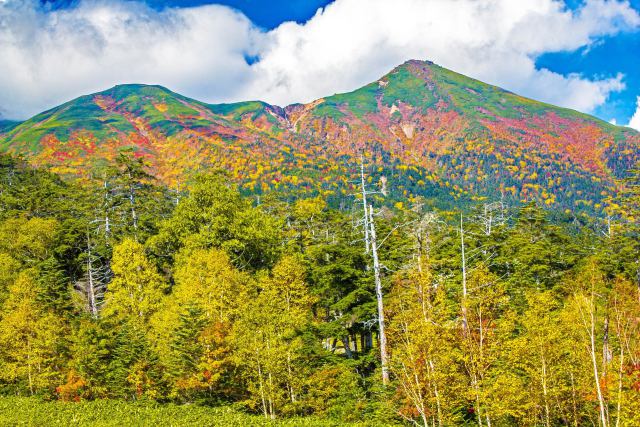 紅葉の御嶽山