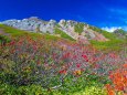 紅葉の御嶽山