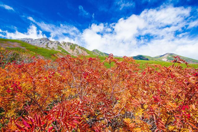 紅葉の御嶽山