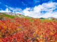 紅葉の御嶽山