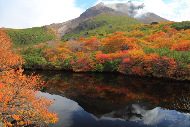 姥ヶ平の紅葉