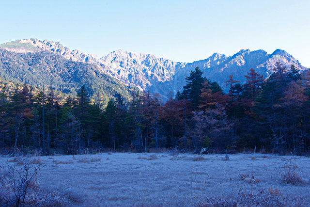 上高地・早朝の田代湿原