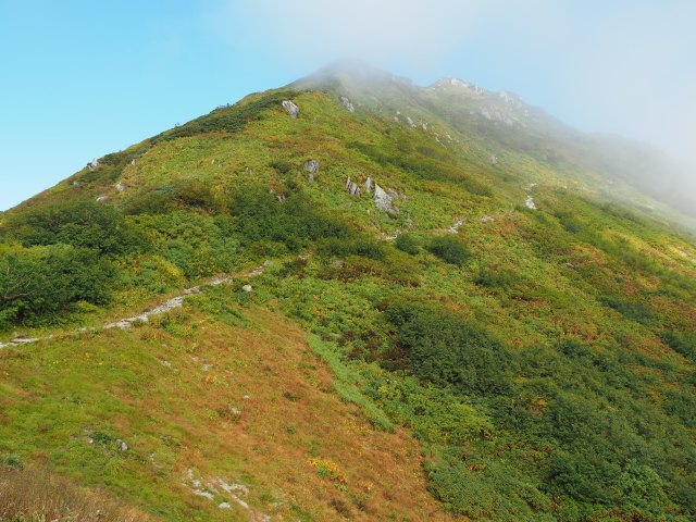 弓折岳への道