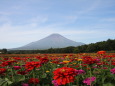 夏の富士山