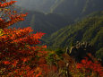 石鎚山墓場尾根の紅葉