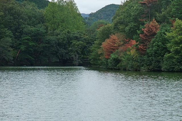 初秋の宝ヶ池