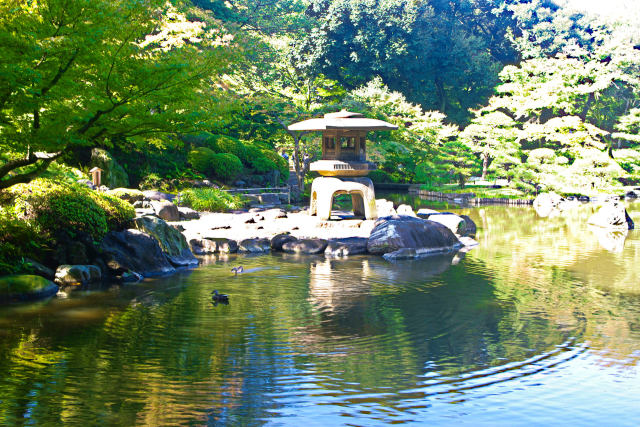 旧古河庭園の日本庭園